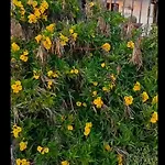 Villa Casa Gaelys House With Sea View *